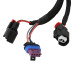 PartzBiz CM: 2906-อะตอม TBI, ECU เท่านั้น