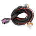 PartzBiz CM: 6014CT-MSD Circle Track LS Ignition Control