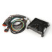 PartzBiz CM: 8000-MSD Ignition Box - Race - PRO 600 CDI