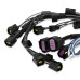 PartzBiz CM: 8734-MSD 2-Step Launch Control - Modular Ford Engines PartzBiz CM: 8734-MSD 2-Step Launch Control - Modular Ford Engines
