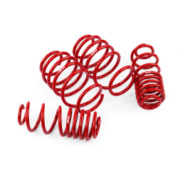 PartzBiz CM SUS00014 - 
APR Roll-Control Lowering Springs - MK7 / MK7.5 GTI / Golf R

