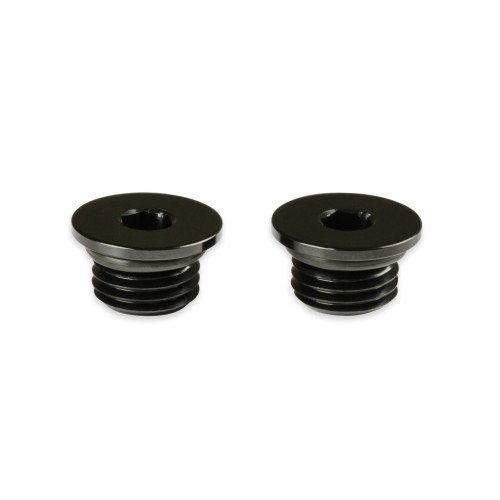 PartzBiz CM: AT581303ERL-Earl's AN Port Plug - Allen Head