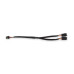 PartzBiz CM: 558-465-Holley EFI CAN Splitter