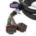 PartzBiz CM: 558-221-Holley EFI GM GEN V GDI Subharness PartzBiz CM: 558-221-Holley EFI GM GEN V GDI Subharness
