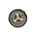 PartzBiz CM: 6367-Mr. Gasket Thermostat - 160 Degree