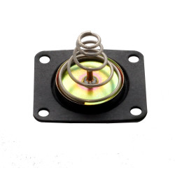 PartzBiz CM 35-100QFT - Pressure Regulator Diaphragm Kit