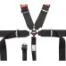 PartzBiz CM: 741001RQP-RaceQuip Camlock 5 Point Harness Set