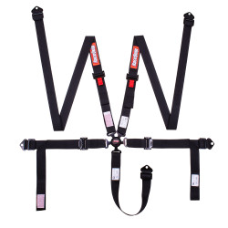 PartzBiz CM 841001RQP - RaceQuip Camlock 5 Point Harness Set