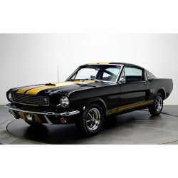PartzBiz CM S2MS-16224-G - Scott Drake Rocker Strip Kit, Concours, Hertz Gold PartzBiz CM S2MS-16224-G - Scott Drake Rocker Strip Kit, Concours, Hertz Gold