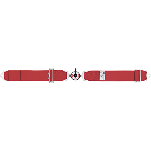 PartzBiz CM: 32022R-
Simpson Racing Camlock Seatbelt
PartzBiz CM: 32022R-
Simpson Racing Camlock Seatbelt