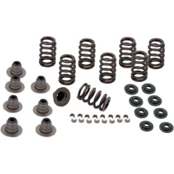 PartzBiz HD 900-0958 - S&S Cycle Sidewinder .605” Lift Valve Spring Kit Harley Touring Softail 17-20 M8
