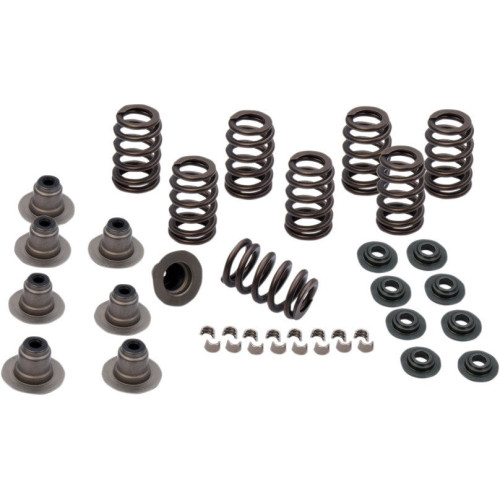 PartzBiz HD: 3456458-S&S Cycle Sidewinder .605” Lift Valve Spring Kit Harley Touring Softail 17-20 M8 PartzBiz HD: 3456458-S&S Cycle Sidewinder .605” Lift Valve Spring Kit Harley Touring Softail 17-20 M8