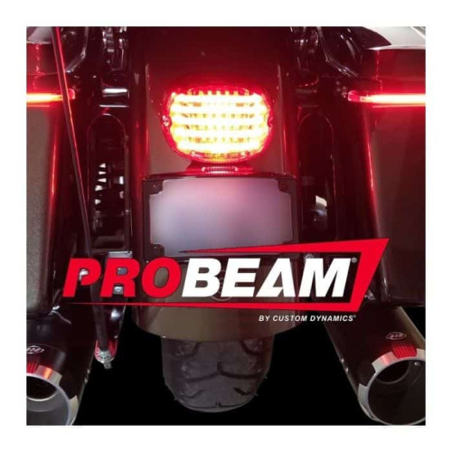 PartzBiz HD: -Custom Dynamics Low Profile LED Taillight Red Lens w/o Plate Window Harley 99-20