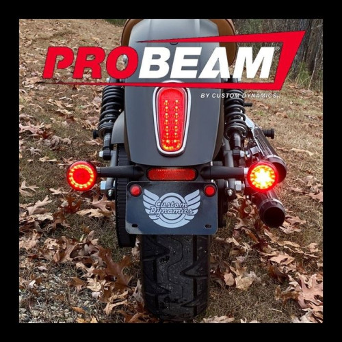 PartzBiz HD: -Custom Dynamics ProBEAM ด้านหลังแหวนสีแดง Bullet Turn สัญญาณ LEDs Black Scout 15-20 2020-1913 20201913 CD-PB-SCOUT-RR-CS Harley light replacement อัพเกรด touring softail PartzBiz HD: -Custom Dynamics ProBEAM ด้านหลังแหวนสีแดง Bullet Turn สัญญาณ LEDs Black Scout 15-20 2020-1913 20201913 CD-PB-SCOUT-RR-CS Harley light replacement อัพเกรด touring softail