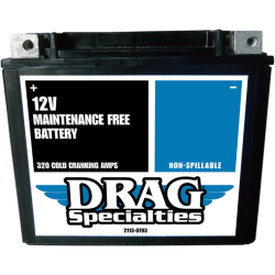 PartzBiz HD DS21130793 - Drag 12v 310cca YTX20H FT Factory-Activated High Performance AGM Battery PartzBiz HD DS21130793 - Drag 12v 310cca YTX20H FT Factory-Activated High Performance AGM Battery