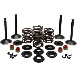 PartzBiz HD DS09263314 - EPC Great Price. Free Shipping. Kibblewhite 20-22450 Black Diamond Stainless Steel Valve Kit Shovelhead 74 66-77 PartzBiz HD DS09263314 - EPC Great Price. Free Shipping. Kibblewhite 20-22450 Black Diamond Stainless Steel Valve Kit Shovelhead 74 66-77
