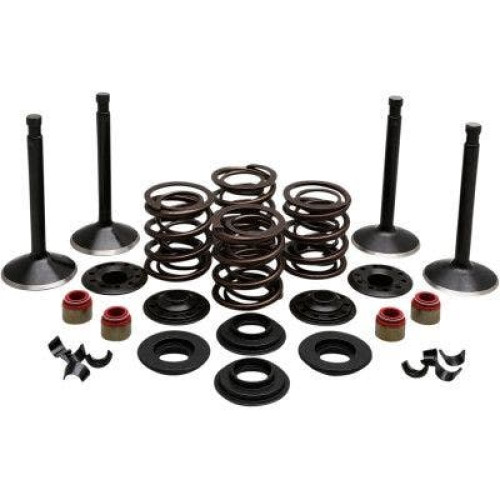 PartzBiz HD: 4413708-EPC Great Price. Free Shipping. Kibblewhite 20-22450 Black Diamond Stainless Steel Valve Kit Shovelhead 74 66-77
