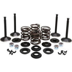 PartzBiz HD DS09263316 - EPC Great Price. Free Shipping. Kibblewhite 20-22550 Black Diamond Stainless Steel Valve Kit Shovelhead 80 78-83 PartzBiz HD DS09263316 - EPC Great Price. Free Shipping. Kibblewhite 20-22550 Black Diamond Stainless Steel Valve Kit Shovelhead 80 78-83