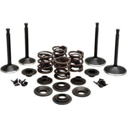 PartzBiz HD DS09263312 - EPC Great Price. Free Shipping. Kibblewhite 20-22250 Black Diamond Stainless Steel Valve Kit Panhead XL 57-69 PartzBiz HD DS09263312 - EPC Great Price. Free Shipping. Kibblewhite 20-22250 Black Diamond Stainless Steel Valve Kit Panhead XL 57-69