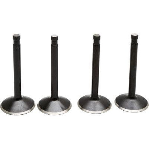 PartzBiz HD: 4413711-EPC Great Price. Free Shipping. Kibblewhite 20-22400 Black Diamond Stainless Steel Valve Kit Shovelhead 74 66-77 PartzBiz HD: 4413711-EPC Great Price. Free Shipping. Kibblewhite 20-22400 Black Diamond Stainless Steel Valve Kit Shovelhead 74 66-77