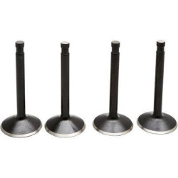 PartzBiz HD DS09263311 - EPC Great Price. Free Shipping. Kibblewhite 20-22200 Black Diamond Stainless Steel Valve Kit Panhead XL 57-69 PartzBiz HD DS09263311 - EPC Great Price. Free Shipping. Kibblewhite 20-22200 Black Diamond Stainless Steel Valve Kit Panhead XL 57-69