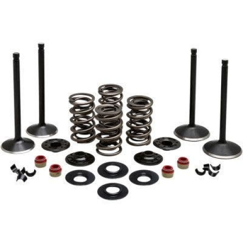 PartzBiz HD: 4413714-Kibblewhite 20-23050 Black Diamond Stainless Steel Valve Kit H-D Twin Cam 99-04 PartzBiz HD: 4413714-Kibblewhite 20-23050 Black Diamond Stainless Steel Valve Kit H-D Twin Cam 99-04