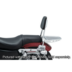 PartzBiz HD KA6582 - Kuryakyn 6582 พนักพิงซิสซี่บาร์ Chrome Harley Davidson Sportster XL 04-20