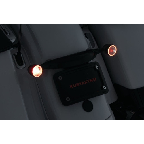 PartzBiz HD: 4412791-Kuryakyn 9269 Custom สัญญาณไฟเลี้ยวด้านหลังสีดำ Harley FLHX FLHRXS FLTRX 14-20