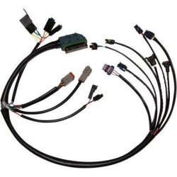PartzBiz HD WP850-08774 - Namz NHD-70233-02 ชุดสายไฟ EFI ที่สมบูรณ์ OE 70233-02 Harley FLH/T 02-05 2120-1019 NHD-70233-02 ดีที่สุดสำหรับ davidson ฝ่าวงล้อมไขมันบ๊อบถนนถนน glide PartzBiz HD WP850-08774 - Namz NHD-70233-02 ชุดสายไฟ EFI ที่สมบูรณ์ OE 70233-02 Harley FLH/T 02-05 2120-1019 NHD-70233-02 ดีที่สุดสำหรับ davidson ฝ่าวงล้อมไขมันบ๊อบถนนถนน glide