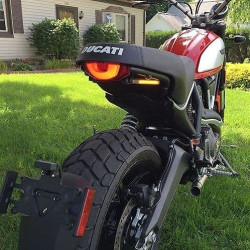 PartzBiz HD TR578858 - New Rage Cycles Rear Fender Eliminator w/ LED Signals 15-16 Ducati Scrambler 800 indicator marker license plate relocation tucked replacement upgrade best new motorcycle desert sled