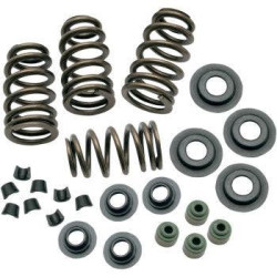 PartzBiz HD SS106-5909 - S&S 106-5909 Sidewinder .650 ” ชุดสปริงวาล์ว Twin Cam 05-18 Sportster 04-20 PartzBiz HD SS106-5909 - S&S 106-5909 Sidewinder .650 ” ชุดสปริงวาล์ว Twin Cam 05-18 Sportster 04-20
