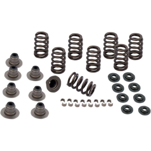 PartzBiz HD: 4404167-S&S Cycle 900-0958 Sidewinder .605" Valve Spring Kit 17-19 Harley Davidson Milwaukee M8 M-Eight Touring Softail Performance Upgrade Replacement Engine Power 0926-2972 09262972 PartzBiz HD: 4404167-S&S Cycle 900-0958 Sidewinder .605" Valve Spring Kit 17-19 Harley Davidson Milwaukee M8 M-Eight Touring Softail Performance Upgrade Replacement Engine Power 0926-2972 09262972