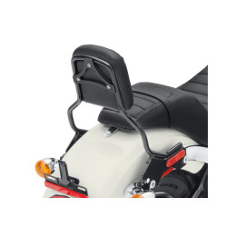 PartzBiz HD 81228 - Holdfast Sissy Bar Standard Height Black Gloss 52300434