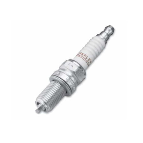 PartzBiz HD: 5001012-Original Harley-Davidson Spark Plug 31600012 / 6R10 / 1 Pack / M8 And Revolution X PartzBiz HD: 5001012-Original Harley-Davidson Spark Plug 31600012 / 6R10 / 1 Pack / M8 And Revolution X