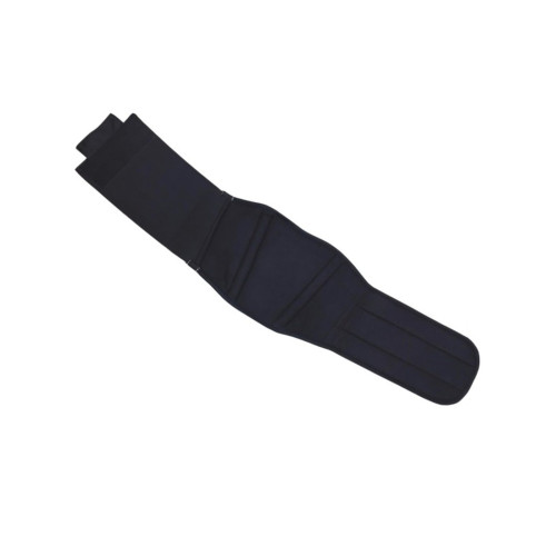 PartzBiz HD: 5901928-Unisex Kidney Belt Striker