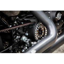 PartzBiz HD 84661 - ฝาครอบรอก Offset Sportster อะลูมิเนียม PartzBiz HD 84661 - ฝาครอบรอก Offset Sportster อะลูมิเนียม